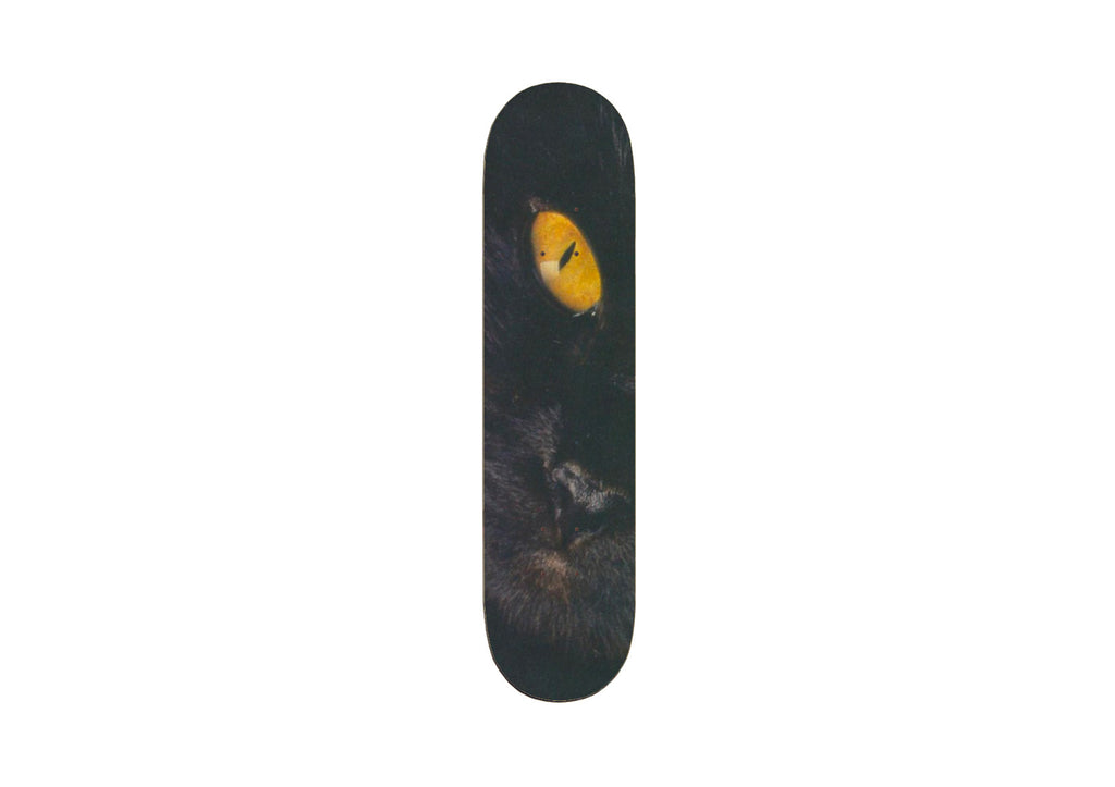 Skateboard Sticker - Lovely Cat